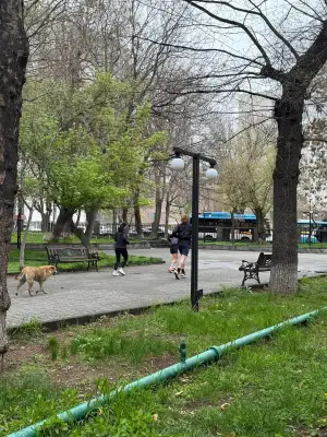 Run Baby Run, Thursday, 9 April 2026