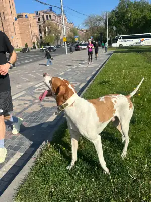 Run Baby Run, Thursday, 30 April 2026