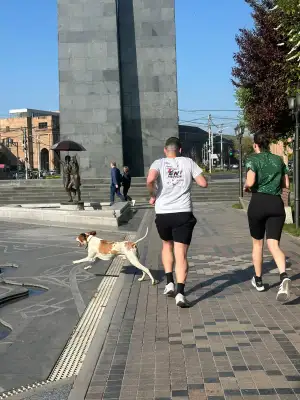 Run Baby Run, Thursday, 30 April 2026