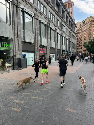 Run Baby Run, Thursday, 7 May 2026