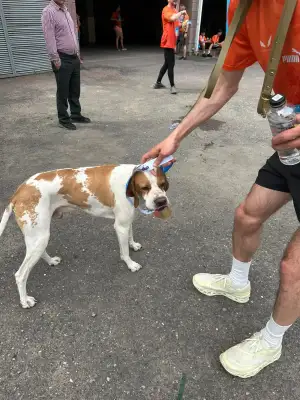 Run Baby Run, Saturday, 23 May 2026