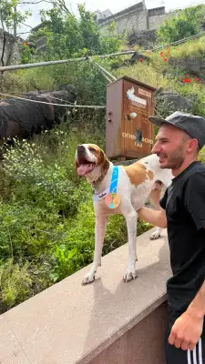 Run Baby Run, Saturday, 23 May 2026