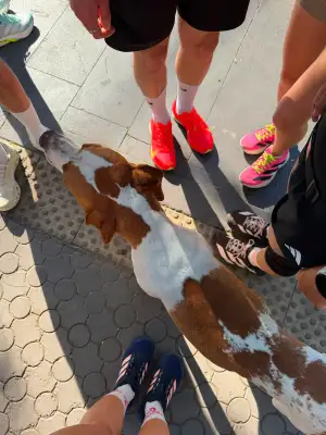 Run Baby Run, 18 June 2026