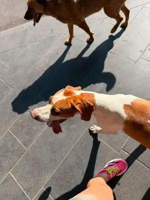Run Baby Run, Thursday, 18 June 2026