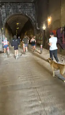 Run Baby Run, 27 June 2026